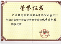 山東省學(xué)生裝設(shè)計大賽優(yōu)秀團(tuán)隊獎
